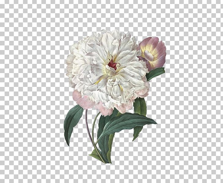 Victorian Era Wall Decal Printmaking Canvas Print Art PNG, Clipart, Botanical Illustration, Canvas, Dahlia, Flower, Flower Arranging Free PNG Download
