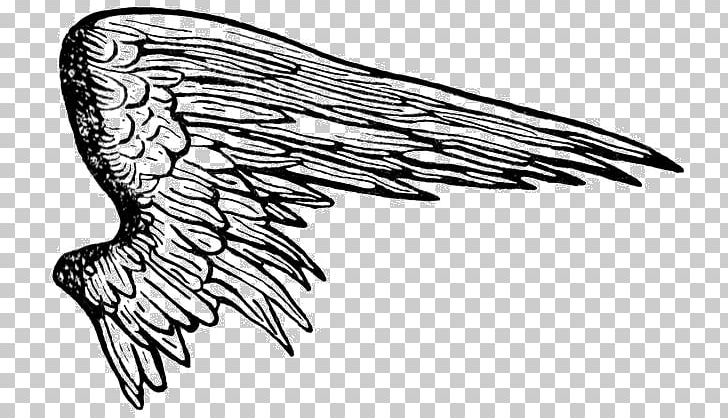 angel wings png clipart