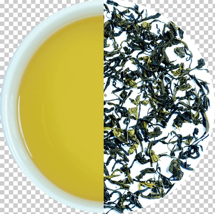 Hōjicha Nilgiri Tea Darjeeling Tea Assam Tea Green Tea PNG, Clipart, Assam Tea, Bancha, Biluochun, Ceylon Tea, Cup Free PNG Download