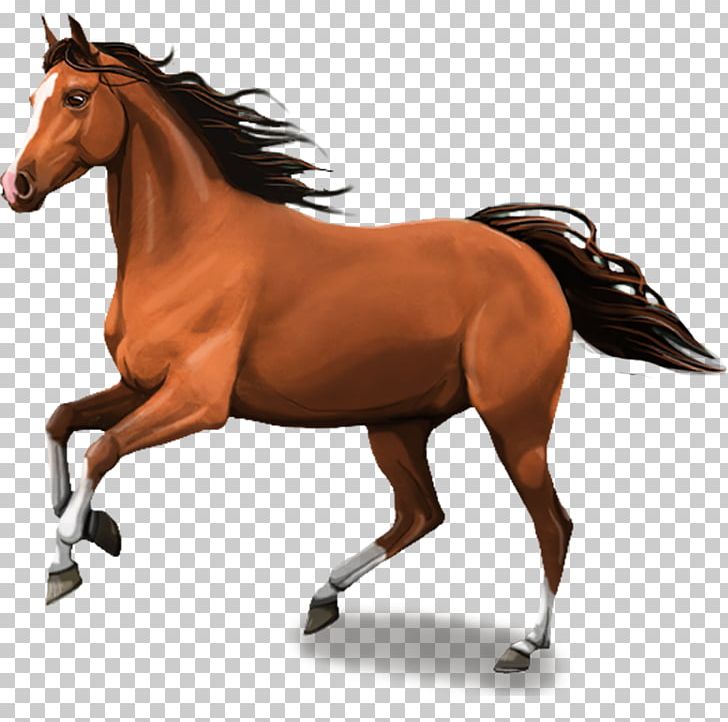 Stallion Clydesdale Horse Mare Andalusian Horse Foal PNG, Clipart, Andalusian Horse, Animal Figure, Bridle, Canter And Gallop, Clydesdale Horse Free PNG Download