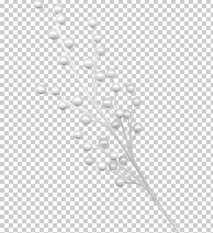 Black And White PNG, Clipart, Bead, Black White, Branch, Branches, Christ Free PNG Download