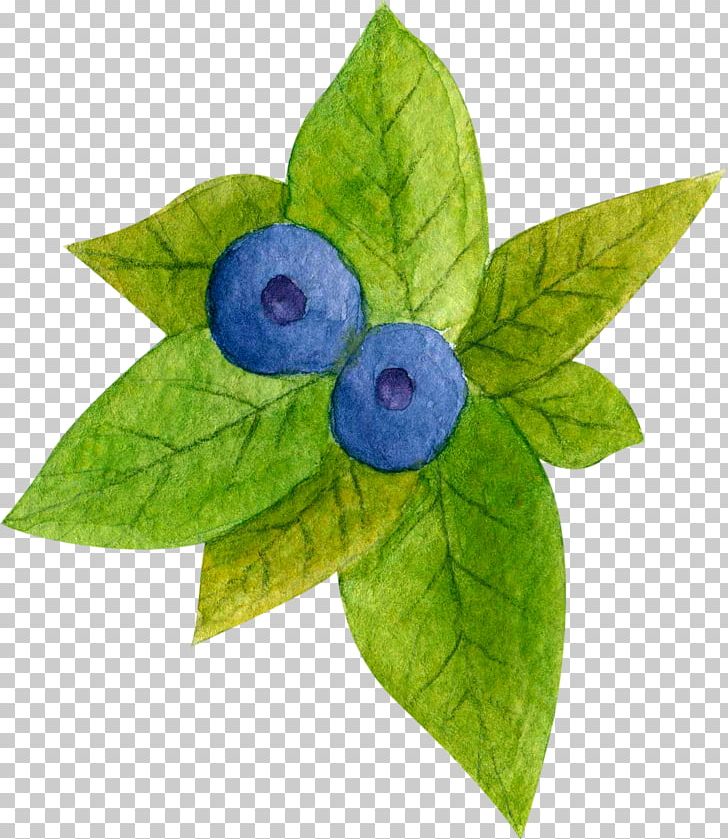 Blueberry Tea PNG, Clipart, Blueberry, Blueberry Illustration, Cake, Download, Drawn Free PNG Download