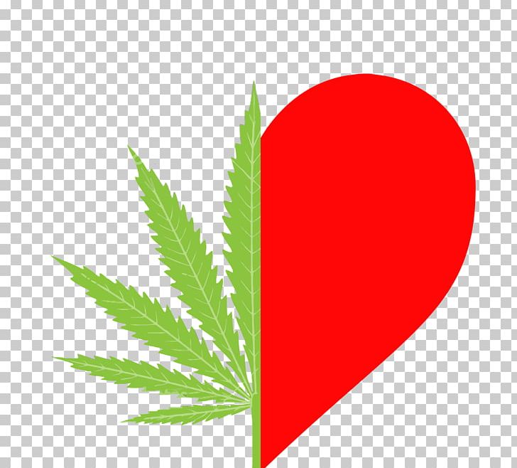 Cannabis Smoking Hemp Medical Cannabis PNG, Clipart, Cannabis, Cannabis Smoking, Computer Icons, Effects Of Cannabis, Grass Free PNG Download
