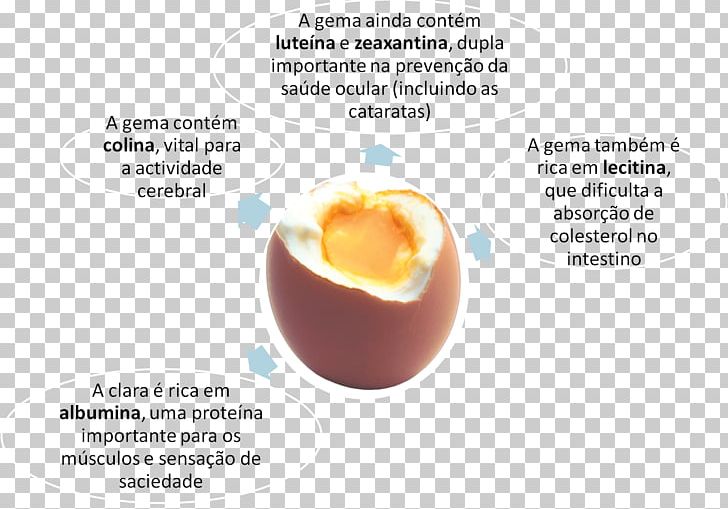 Cholesterol Nutrient Egg Lecithin Health PNG, Clipart, Anemia, Boiled Egg, Brand, Cholesterol, Diagram Free PNG Download