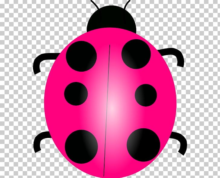 Ladybird PNG, Clipart, Beetle, Cartoon, Circle, Drawing, Free Content Free PNG Download