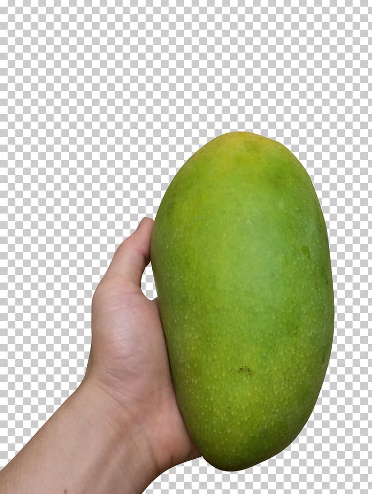 Mango PNG, Clipart, Adobe Illustrator, Auglis, Avocado, Big, Big Mango Free PNG Download