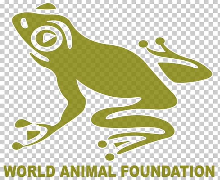 Non-profit Organisation Organization Animal Welfare World Animal Protection PNG, Clipart, Amphibian, Animal, Charitable Organization, Fauna, Grass Free PNG Download