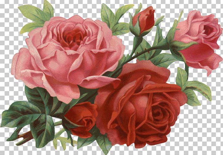 Rose Flower PNG, Clipart, Artificial Flower, Cut Flowers, Floral Design, Floribunda, Floristry Free PNG Download
