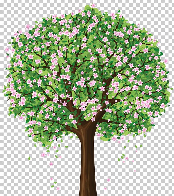 Tree Spring Blossom PNG, Clipart, Blossom, Branch, Cherry Blossom, Clip Art, Color Free PNG Download
