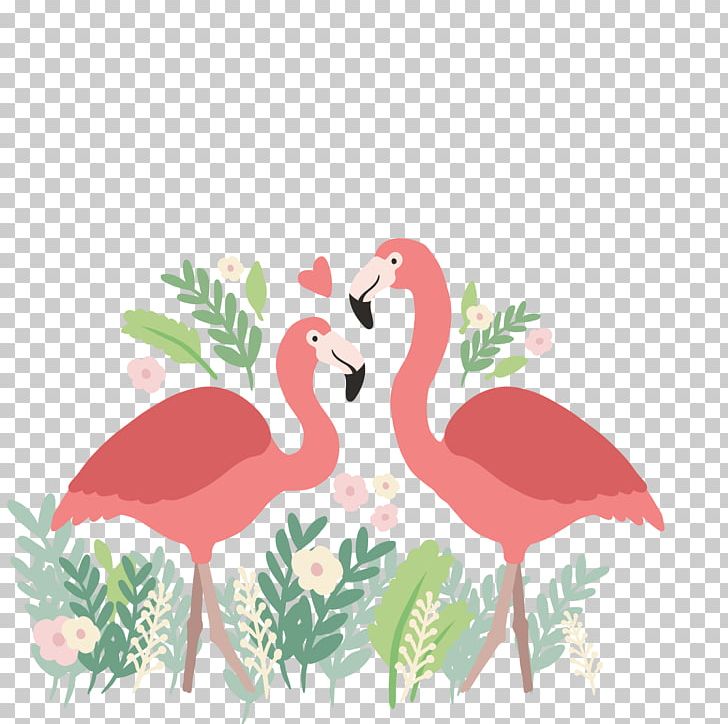 Flamingo PNG, Clipart, Animal, Animals, Art, Background Vector, Beak Free PNG Download