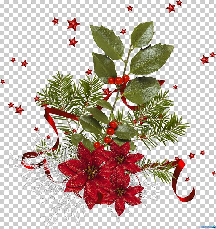 Cut Flowers Floral Design Holly Floristry PNG, Clipart, Aquifoliaceae, Aquifoliales, Branch, Christmas, Christmas Decoration Free PNG Download