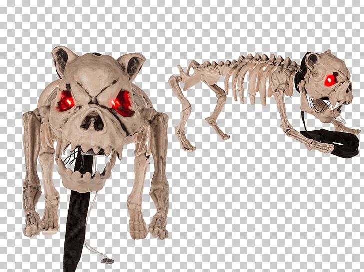 Light Snout C&A Kostra Psa Carnivora PNG, Clipart, Animal Figure, Carnivora, Carnivoran, Halloween Figures, Halloween Film Series Free PNG Download