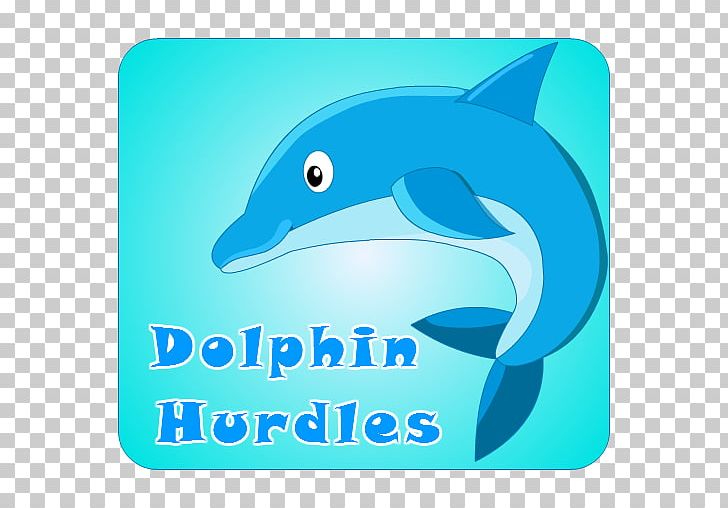 Common Bottlenose Dolphin Logo Brand Marine Biology PNG, Clipart, Animals, Aqua, Area, Biology, Blue Free PNG Download