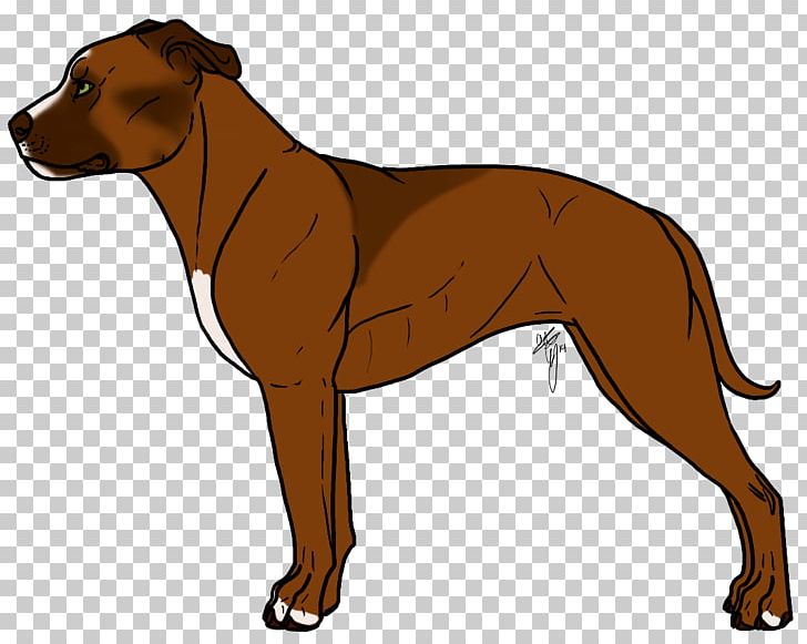 Dog Breed Horse Rhodesian Ridgeback 日高育成牧場 Mare PNG, Clipart, American Kennel Club, Anatomy, Brindle, Carnivoran, Dog Free PNG Download