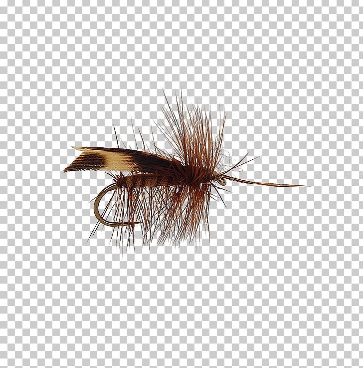 Artificial Fly Fly Fishing Insect Nymph PNG, Clipart, Artificial Fly, Bead, Clothing, Clothing Accessories, Fish Hook Free PNG Download