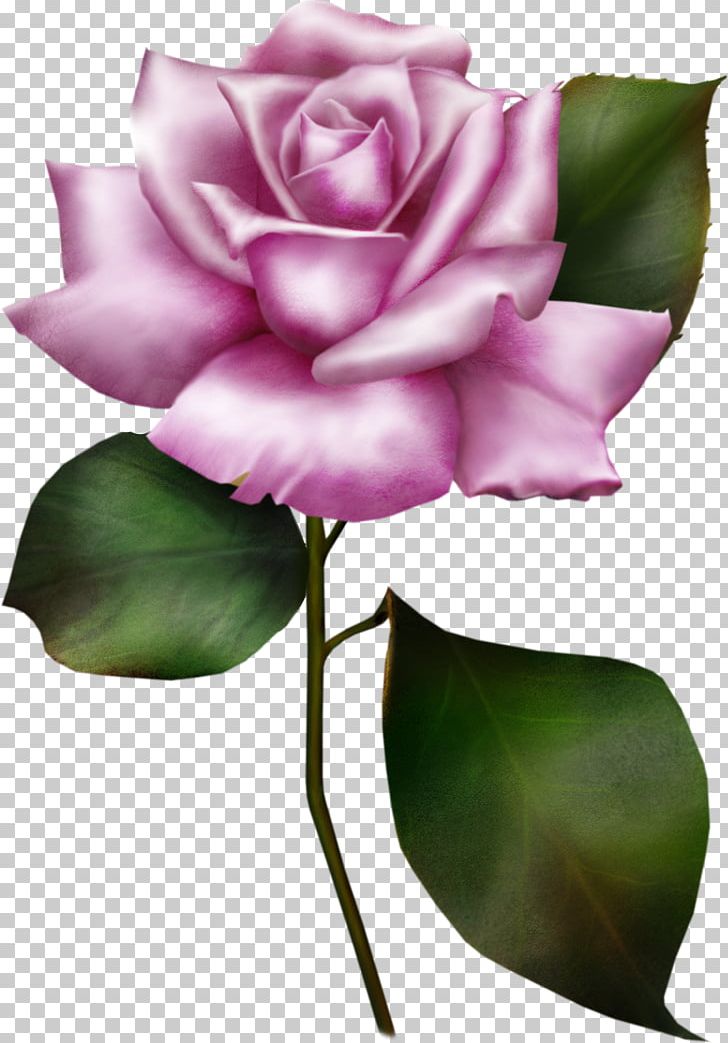 Wedding Invitation Flower Rose PNG, Clipart, Blue Rose, Bud, Cut Flowers, Flora, Flower Free PNG Download