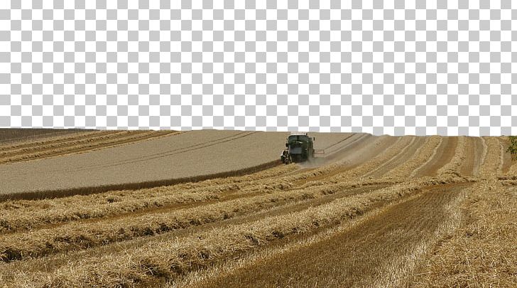 Wheat Agriculture Field Rural Area Harvest PNG, Clipart, Agriculture, Cereal, Cereals, Combine Harvester, Commodity Free PNG Download