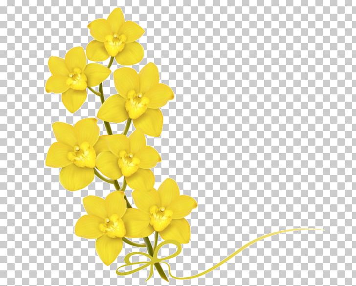 Yellow Flower PNG, Clipart, Clip Art, Color, Cut Flowers, Desktop Wallpaper, Encapsulated Postscript Free PNG Download