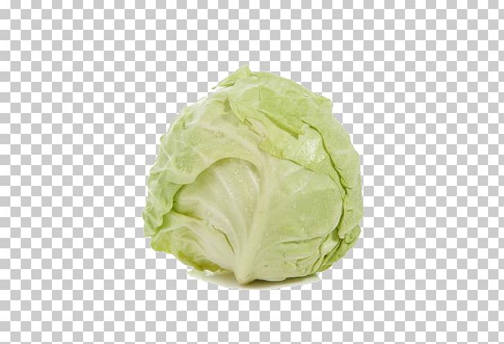 Savoy Cabbage PNG, Clipart, Cabbage, Encapsulated Postscript, Food, Free Download, Free Logo Design Template Free PNG Download