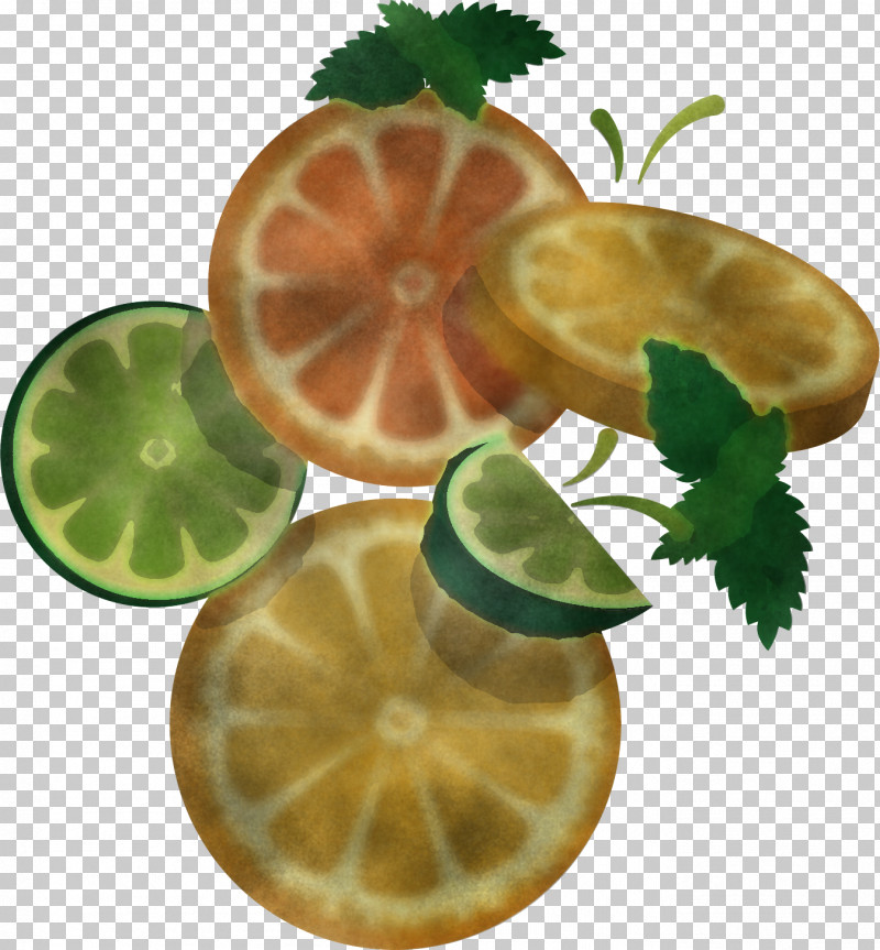 Citrus Leaf Fruit Lime Lemon PNG, Clipart, Citrus, Food, Fruit, Kaffir Lime, Leaf Free PNG Download