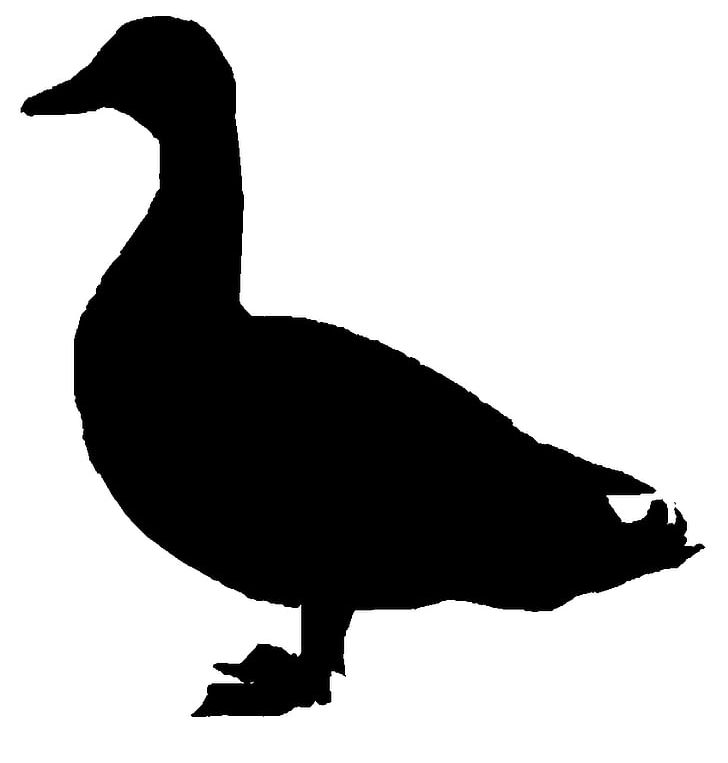 Donald Duck Mallard Goose PNG, Clipart, Beak, Bird, Black And White, Donald Duck, Duck Free PNG Download