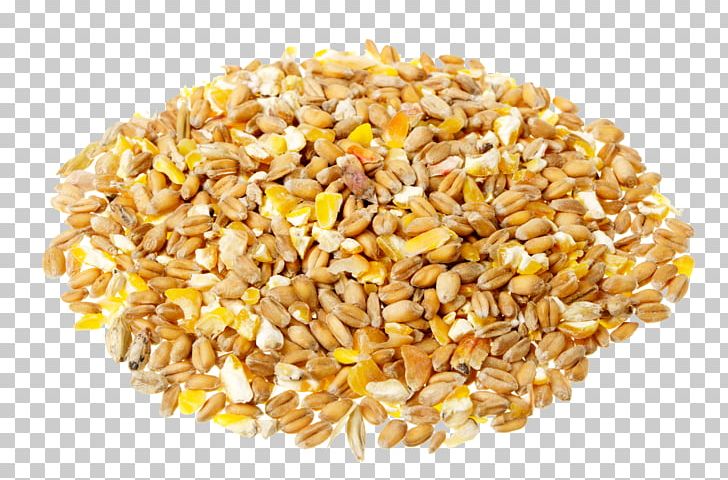 Cereal Maize Food Full Breakfast Eating PNG, Clipart, Brown Rice, Cereal, Cereal Germ, Commodity, Dietary Fiber Free PNG Download