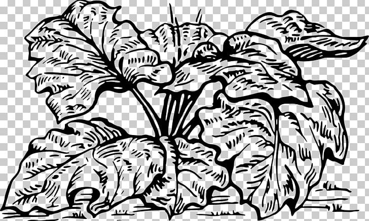 Garden Rhubarb Coloring Book Drawing Gin PNG, Clipart, Art, Artwork, Black And White, Child, Color Free PNG Download