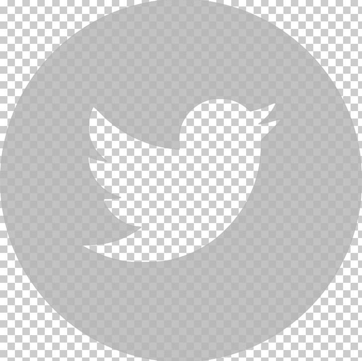 Computer Icons YouTube Logo Business PNG, Clipart, Advertising, Beak, Bird, Business, Circle Free PNG Download