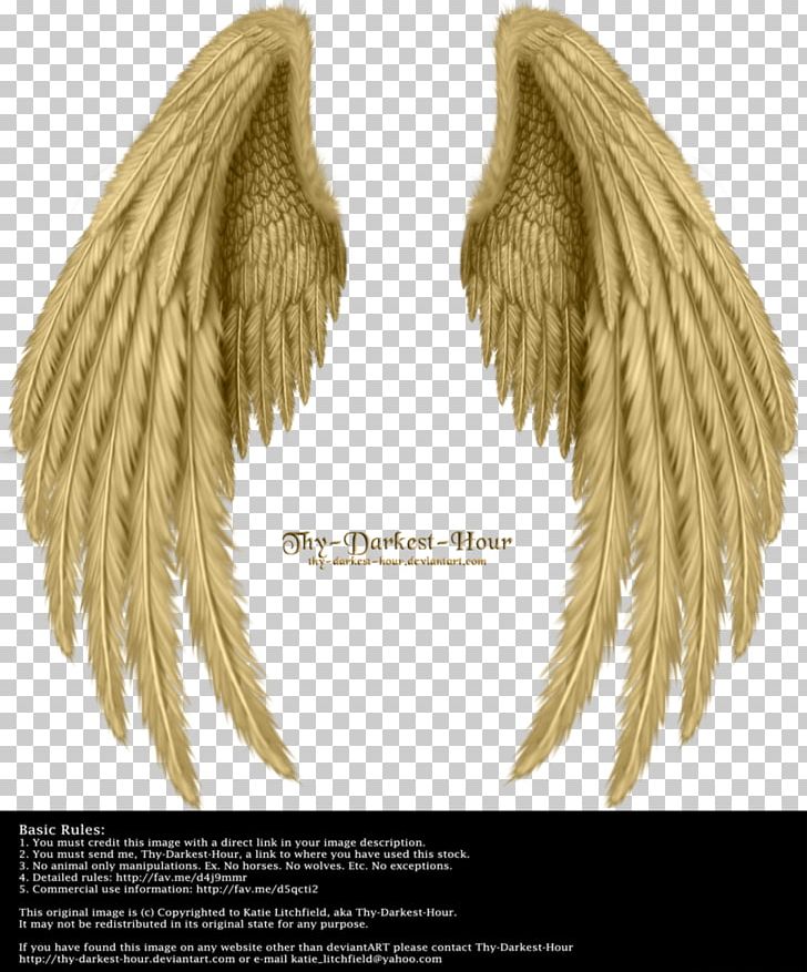 Drawing Bird Butterfly Angel Wing PNG, Clipart, Angel, Angels, Angel Wing, Angel Wings, Art Free PNG Download