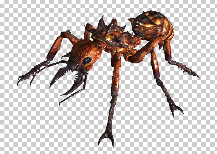 Fallout 3 Fallout 2 Red Imported Fire Ant Insect PNG, Clipart, Animal Source Foods, Ant, Arthropod, Black Garden Ant, Crab Free PNG Download