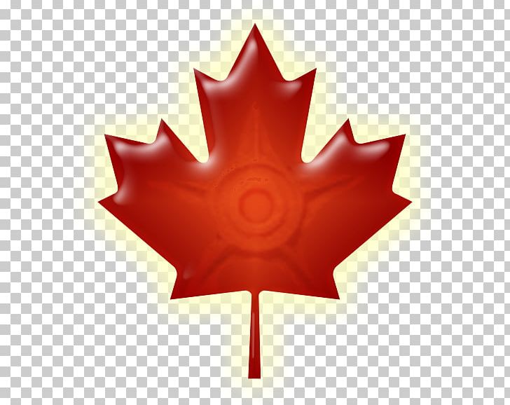 Flag Of Canada Maple Leaf National Flag PNG, Clipart, Canada, Canada Day, Computer Icons, Computer Wallpaper, Flag Free PNG Download