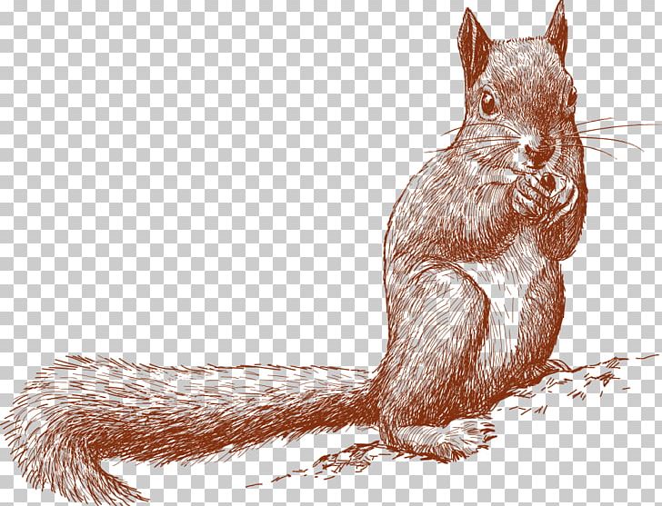 Little Squirrel Holding Fruit PNG, Clipart, Animal, Animal Illustration, Car, Cartoon, Cartoon Animals Free PNG Download