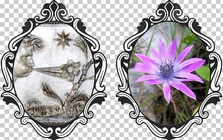 Symmetry Jewellery Pillow PNG, Clipart, Anemone, Flower, Jewellery, Miscellaneous, Pillow Free PNG Download