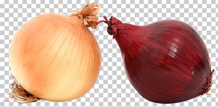 Yellow Onion Shallot White Onion Vegetable PNG, Clipart, Bulb, Desktop Wallpaper, Food, Food Drinks, Fresh Free PNG Download