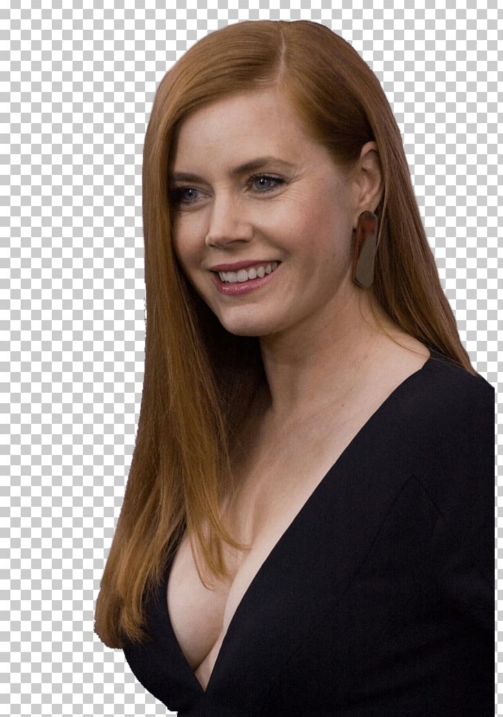Amy Adams Man Of Steel Actor Female PNG, Clipart, Actor, Amy Adams, Beauty, Blond, Brown Hair Free PNG Download