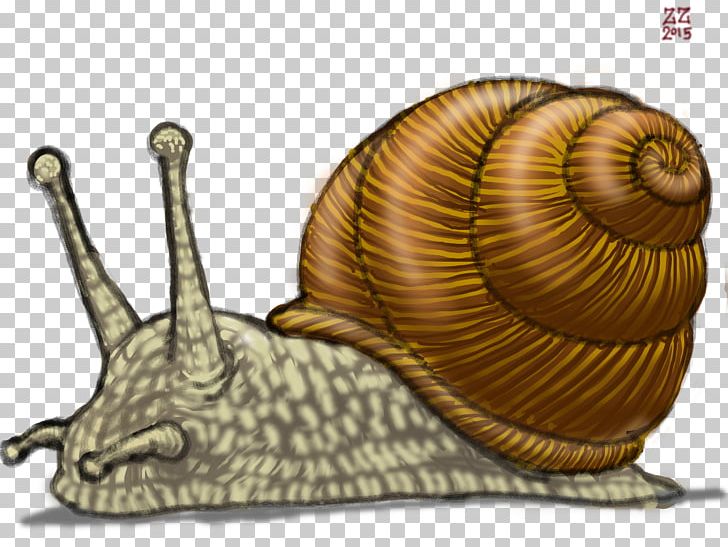 Gastropods Land Snail Drawing Slug PNG, Clipart, Animals, Art, Conchology, Drawing, Gastropods Free PNG Download