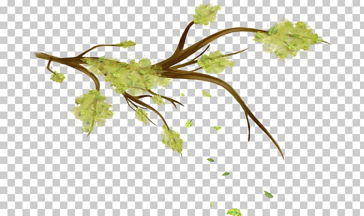 Twig Leaf Branch PNG, Clipart, Branch, Color, Download, Grapevine Family, Green Free PNG Download