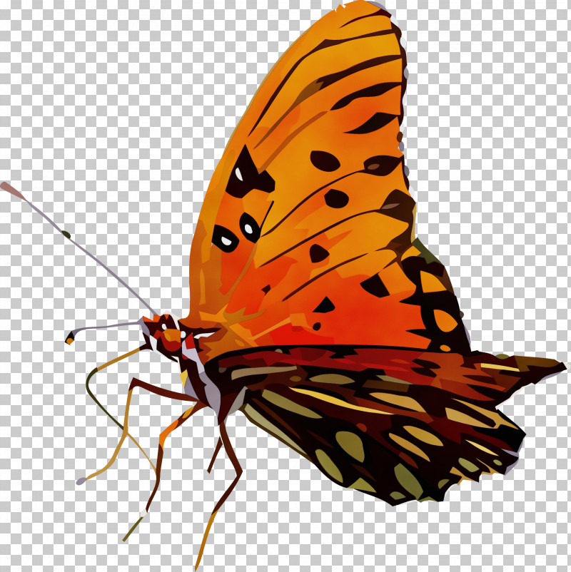 Monarch Butterfly PNG, Clipart, Biology, Brushfooted Butterflies, Butterflies, Gossamerwinged Butterflies, Insect Free PNG Download
