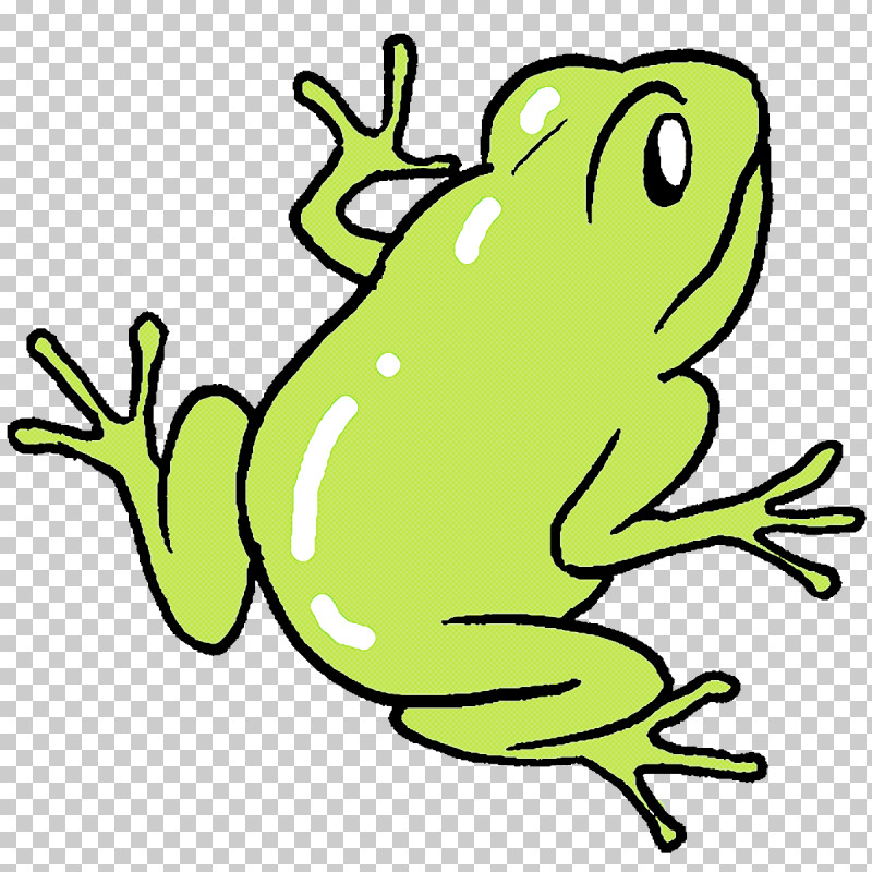 Toad True Frog Tree Frog Amphibians Frogs PNG, Clipart, Amphibians, Cartoon, Edible Frog, Frogs, Line Art Free PNG Download