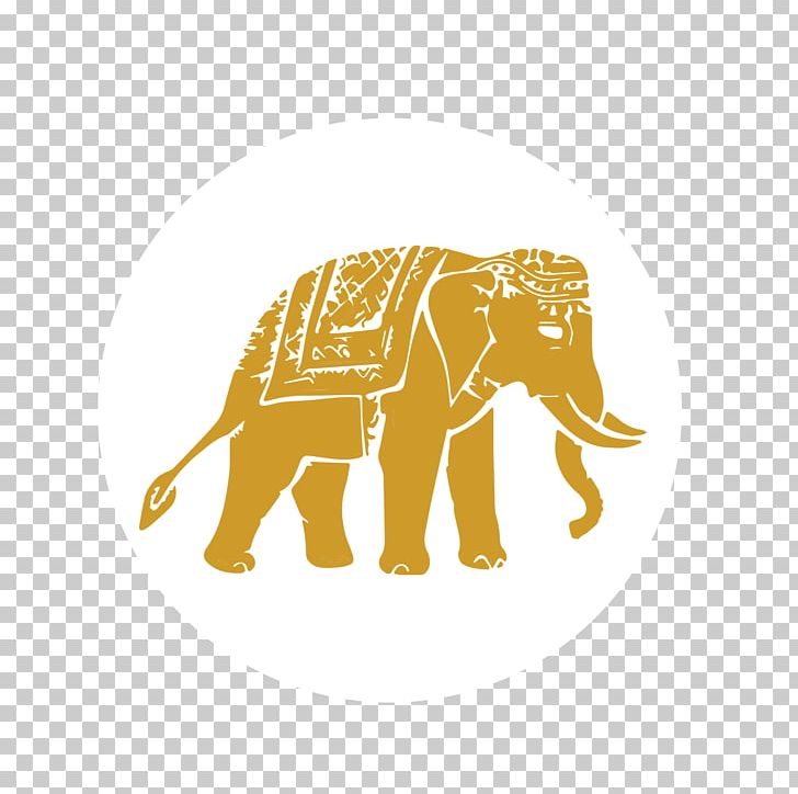 Indian Elephant African Elephant Elephants In Thailand PNG, Clipart, Animals, Big Cats, Carnivoran, Drawing, Elephant Free PNG Download