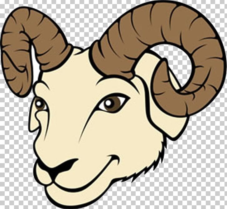 Sheep Photography PNG, Clipart, Animal Figure, Animals, Artwork, Cartoon, Cat Like Mammal Free PNG Download