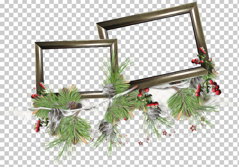 Picture Frame PNG, Clipart, Branch, Conifer, Fir, Holly, Picture Frame Free PNG Download
