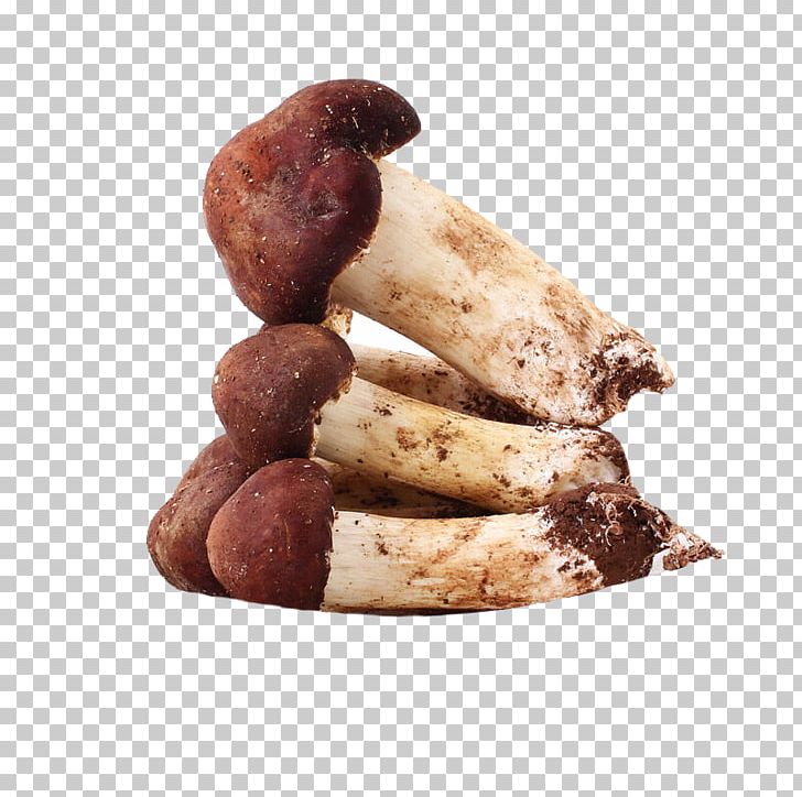Agaricus Subrufescens Common Mushroom Extract Edible Mushroom Pileus PNG, Clipart, Agaricus Subrufescens, Boudin, Breakfast Sausage, Common Mushroom, Edible Free PNG Download