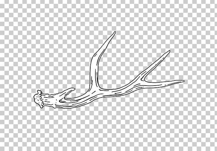 Antler Line Art PNG, Clipart, Angle, Antler, Art, Black And White, Line Free PNG Download