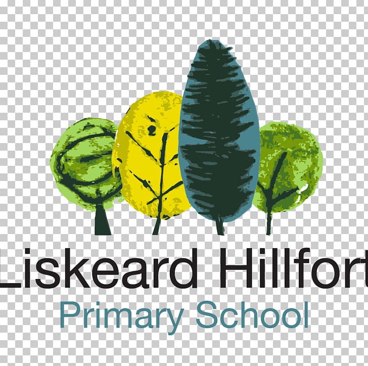Hillfort Primary School Falmouth Elementary School Bodmin PNG, Clipart, Bodmin, Brand, Curriculum, Elementary School, Falmouth Free PNG Download