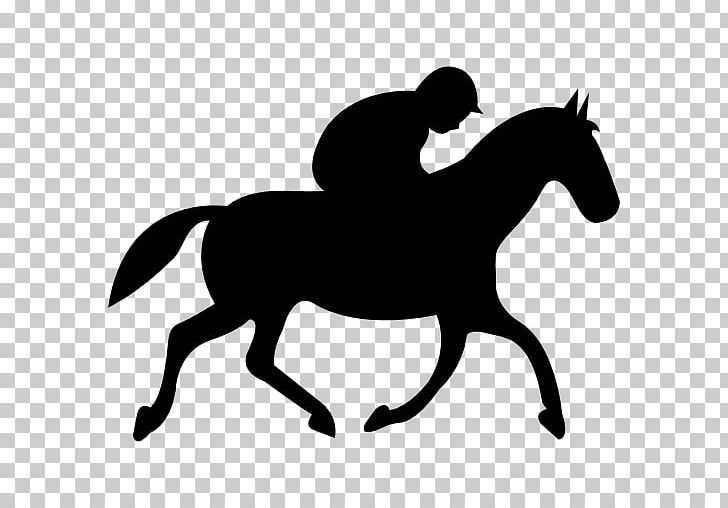 Horse Equestrian Jockey Jumping PNG, Clipart, Animals, Black And White, Bridle, Colt, Draft Horse Free PNG Download