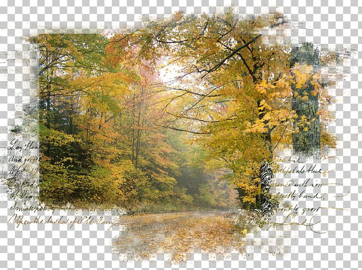 Landscape Nature Centerblog Art PNG, Clipart, Art, Autumn, Bank, Bayou, Blog Free PNG Download