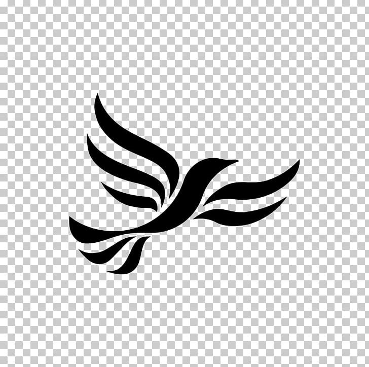 Portsmouth Liberal Democrats Ipswich Liberal Democrats Liberalism Scottish Liberal Democrats PNG, Clipart, Bird, Black, Branch, Flower, Leaf Free PNG Download