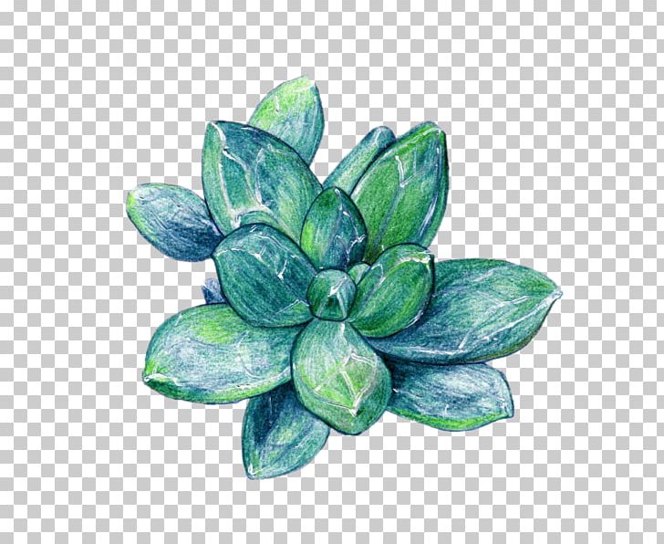 Succulent Plant Raster Graphics PNG, Clipart, Beauty, Beauty Salon, Color, Color Of Lead, Creative Work Free PNG Download