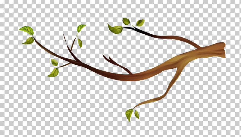 Branch Leaf Plant Plant Stem Flower PNG, Clipart, Branch, Flower, Leaf, Plant, Plant Stem Free PNG Download